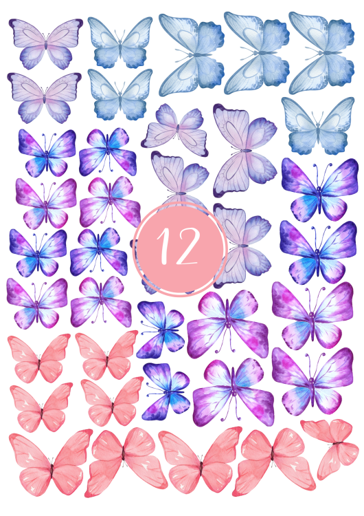 12.png