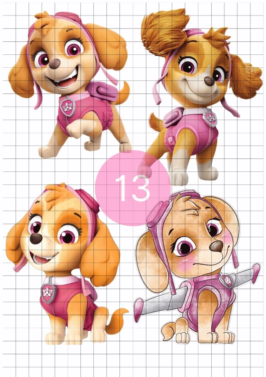 13.png